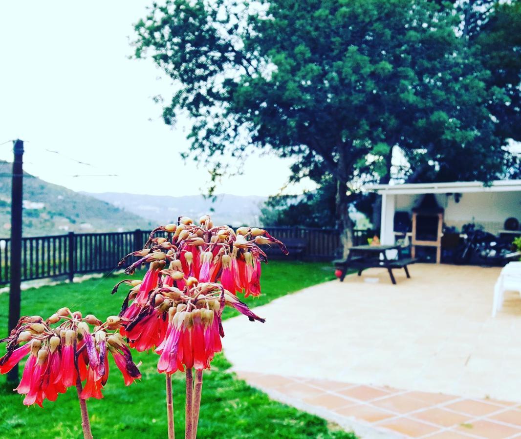 Casa Molina Villa Alcaucin Ngoại thất bức ảnh