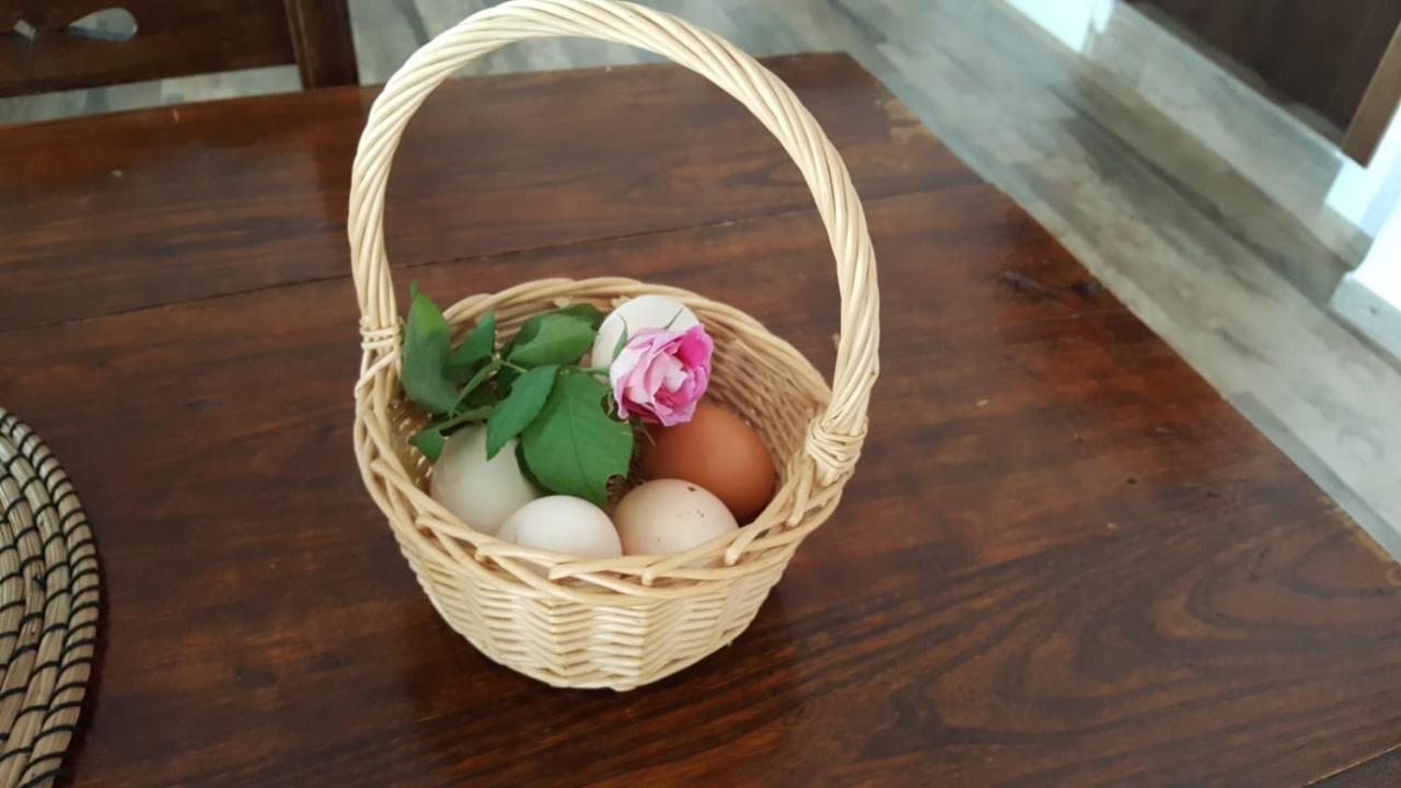Casa Molina Villa Alcaucin Ngoại thất bức ảnh